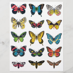 Belles illustrations de papillons pour l'artisanat