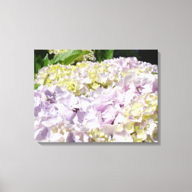 Belles impressions sur toile d'hortensias pastel (Recto)
