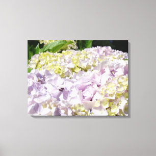 Belles impressions sur toile d'hortensias pastel
