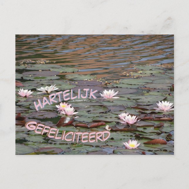Belles nappes d'eau Gefeliciteerd Carte postale (Devant)