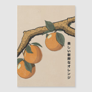 Belles oranges fraîches