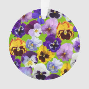 Belles Pansies de Printemps
