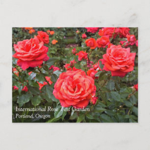 Belles Roses, Portland, Oregon Carte postale