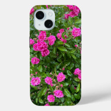 Belles roses roses roses en coque iphone de fleurs