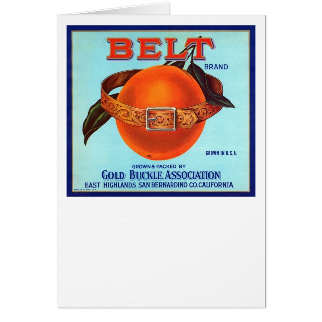 Belt Brand California Oranges (Devant)