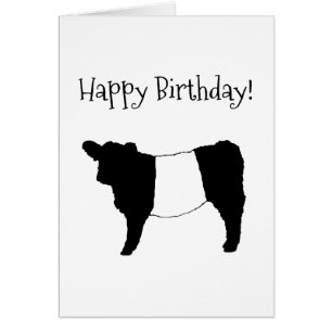 Belties - Joyeux Anniversaire Belted Vache Gallowa