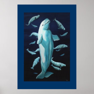 Beluga Whale Imprimer Poster Marine Life Baleine I