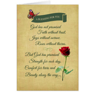 Bénédiction, Rose rouge, Papillon