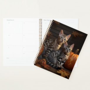 Bengal Kitten Automne Citrouille de plaisir