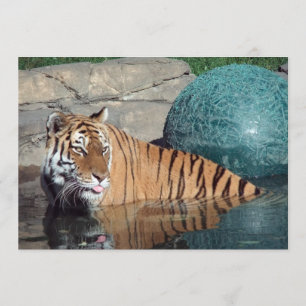 Bengal Tiger Faire-part personnalisable