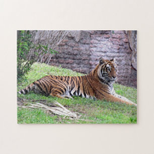 Bengale Tiger Puzzle