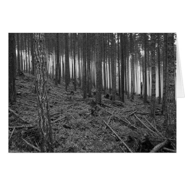 Benson Meadows (Devant horizontal)