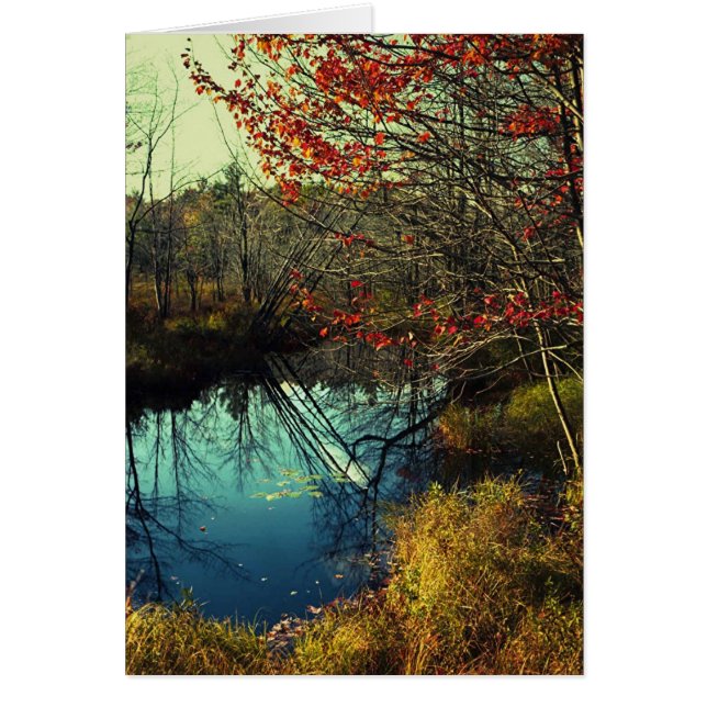 Bent Trees (Devant)