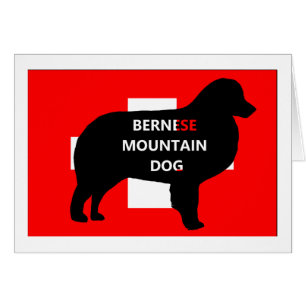ber mt dog nom silo drapeau suisse.png