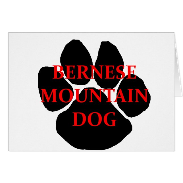 ber mt nom chien paw.png (Devant Horizontal)