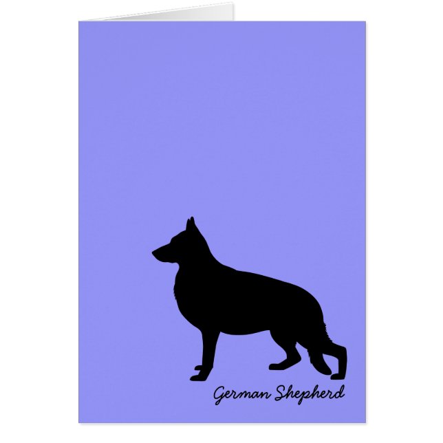 Berger allemand (Devant)