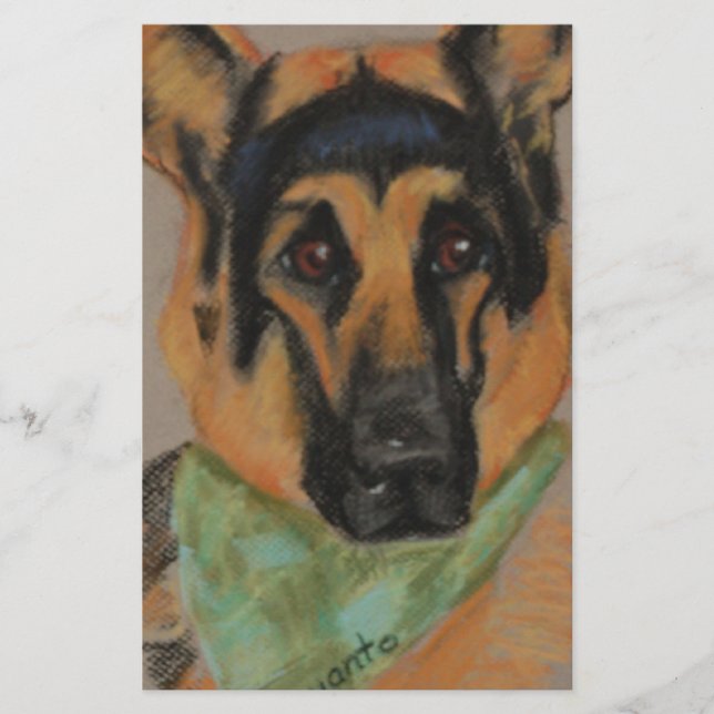 Berger allemand (Devant)