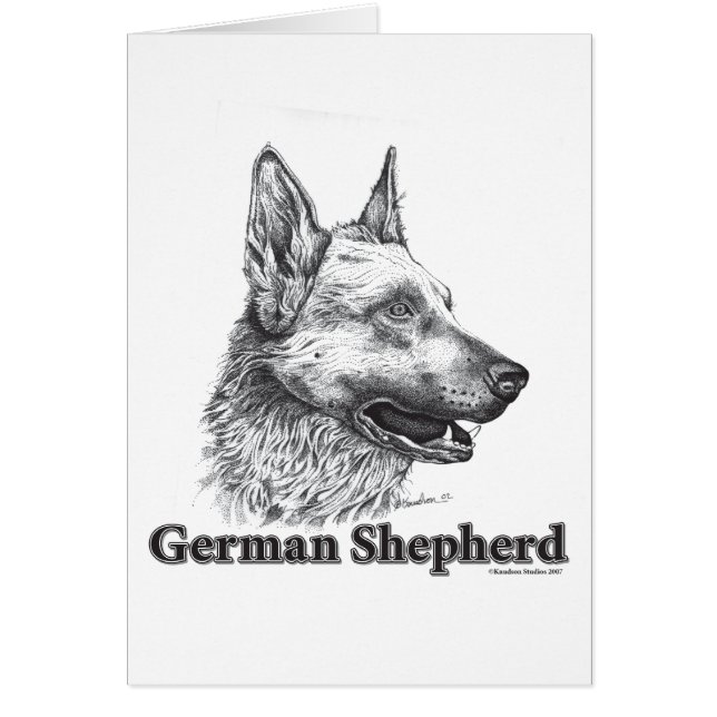 Berger allemand (Devant)