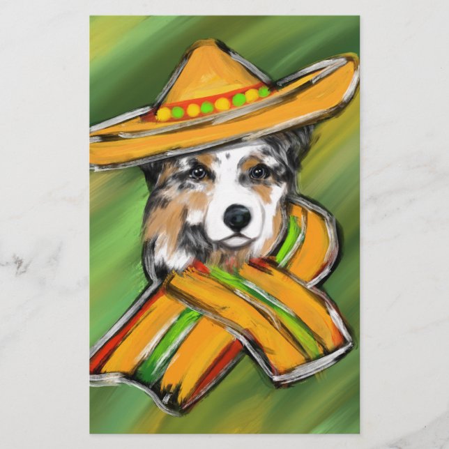 Berger australien (Devant)