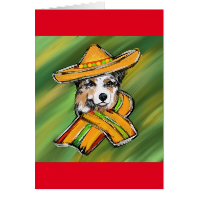 Berger australien (Devant)