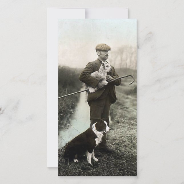 Berger avec agneau et collie frontière (Devant)