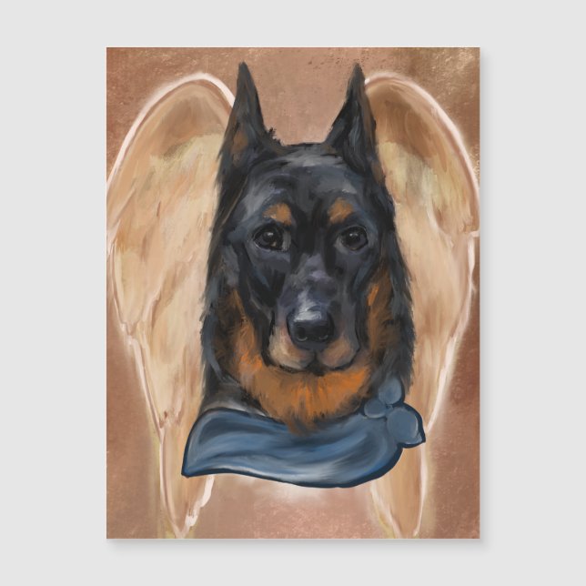 Berger de Beauce (Devant)