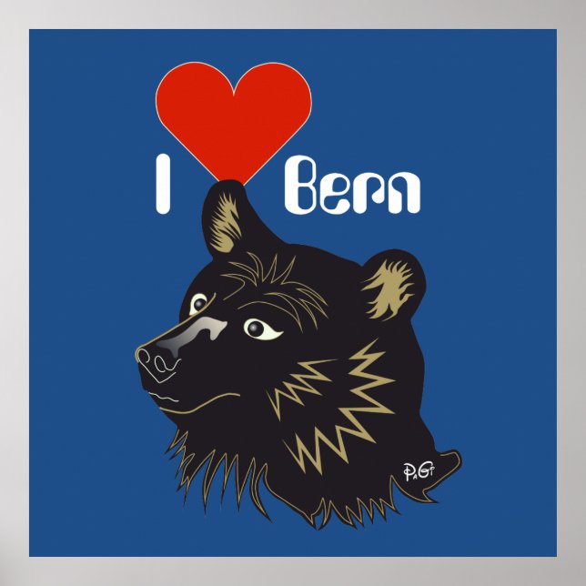 Berne, Berne, Berna, Bärn, Schweiz, Suisse, Poster (Devant)
