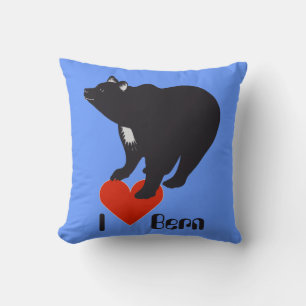 Berne, Berne, Berna, Ours, Suisse, Coussin suisse