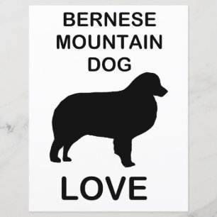 bernèse chien de montagne amour papier à gratter