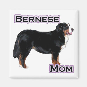Bernese Mom 4 - Magnet