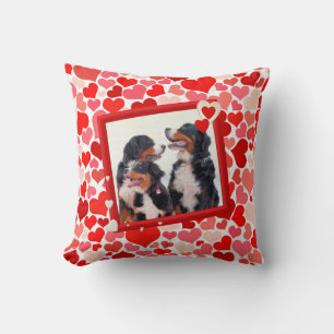 Bernese Mountain dog coussin de coeur
