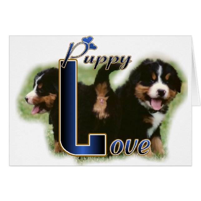 Bernese Mountain Dog Gifts (Devant horizontal)