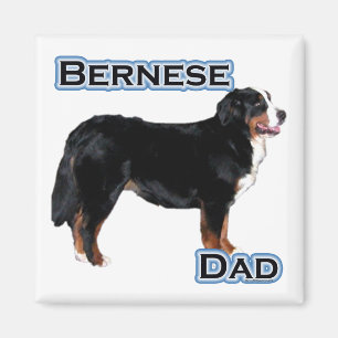 Bernese Papa 4 - Aimant