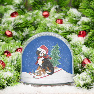 Bernois Mountain Chien Xmas Sled