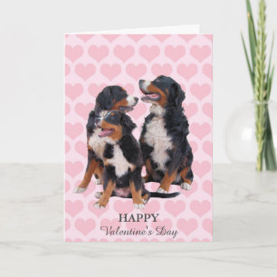 Bernois Mountain Dogs Hearts Carte Saint Valentin
