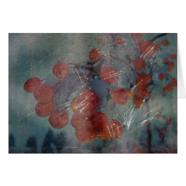 Berrries Grunge (Devant horizontal)