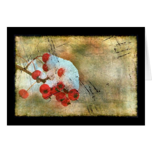 Berry Cold Grunge (Devant horizontal)