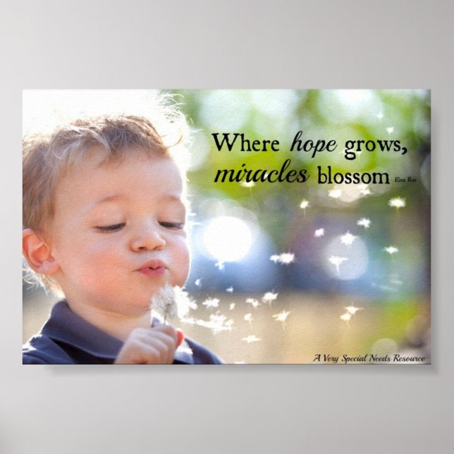Besoins spéciaux Miracles Blossom Poster (Devant)