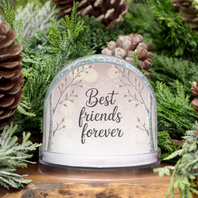 Best Friends Forever Snow Globe – Cute Minimal Fri (Hiver)