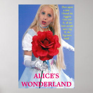 BEST POSTERS - ALICE IN WONDERLAND - UNE NOUVELLE 