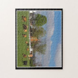 Bétail frôlant le puzzle 11x14 par Thomas Minutolo