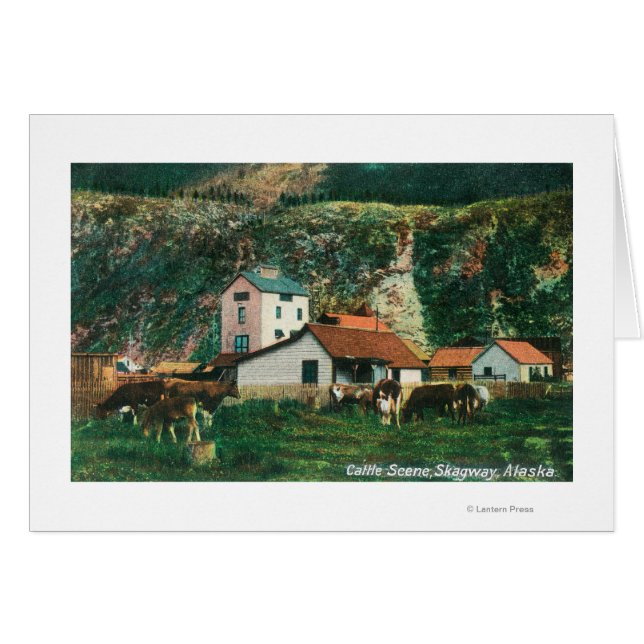 Bétail parmi les granges scèneSkagway, AK (Devant horizontal)
