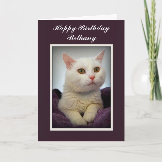 Bethany Bonne Carte Chat Blanc Anniversaire (Devant)