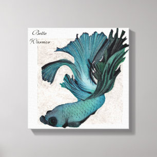 Betta Combattre le poisson dans une toile bleue ve