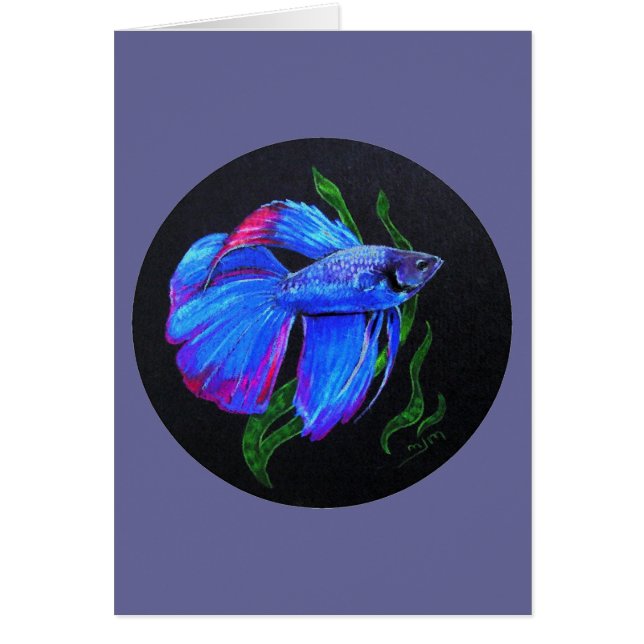 BETTA ! ! ! Poissons de combat siamois (Devant)