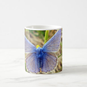 Beurre bleu commun Mug