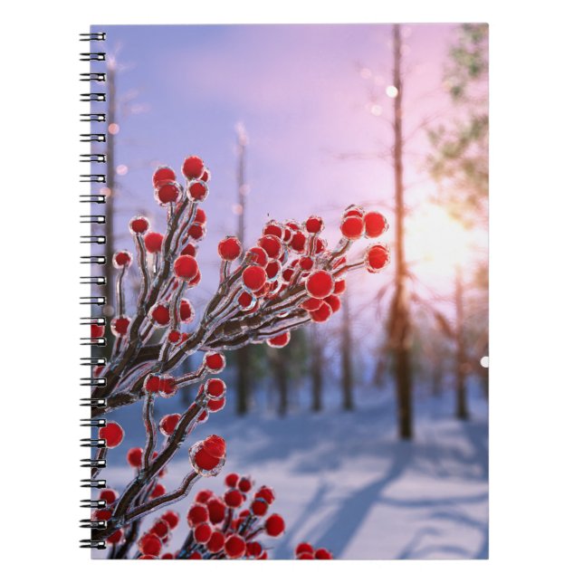 Beurre d'hiver dans le Carnet de glace (Devant)