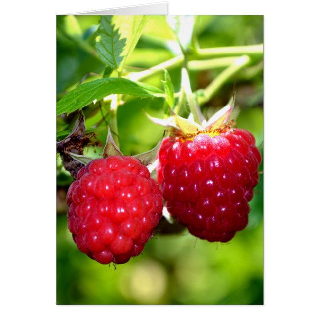 Beurre mûre photo Framboises framboises (Devant)