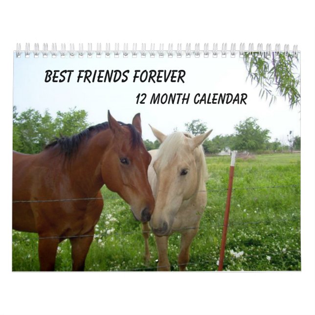 BFF-Best Friends Forever - Calendrier de 12 mois (Protection)