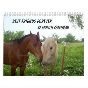 BFF-Best Friends Forever - Calendrier de 12 mois